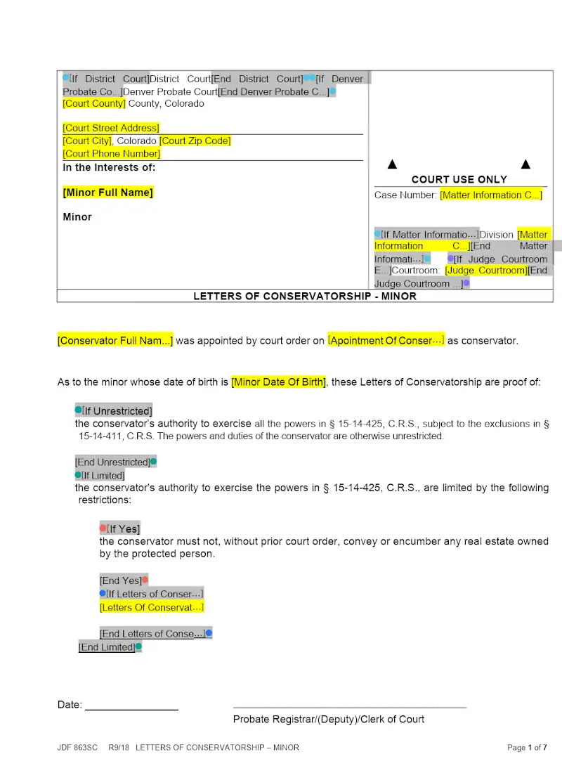 Letters of Conservatorship, Minor (JDF 863SC)