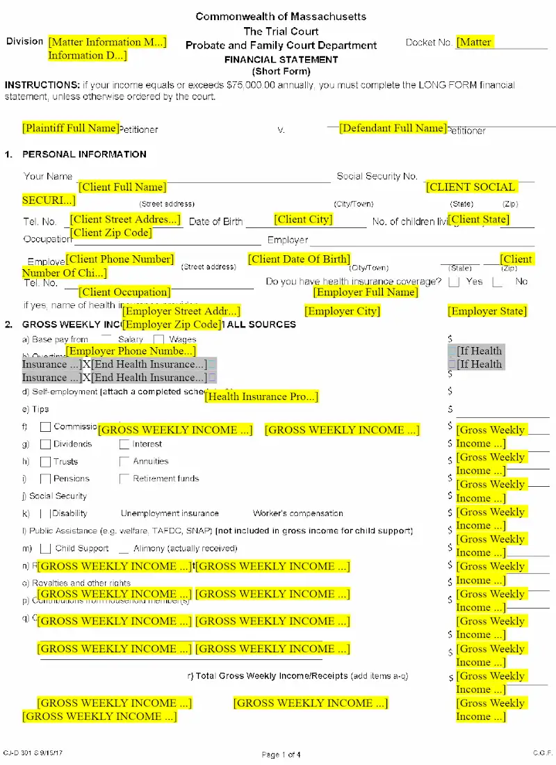Financial Statement Short Form (CJD 301S)