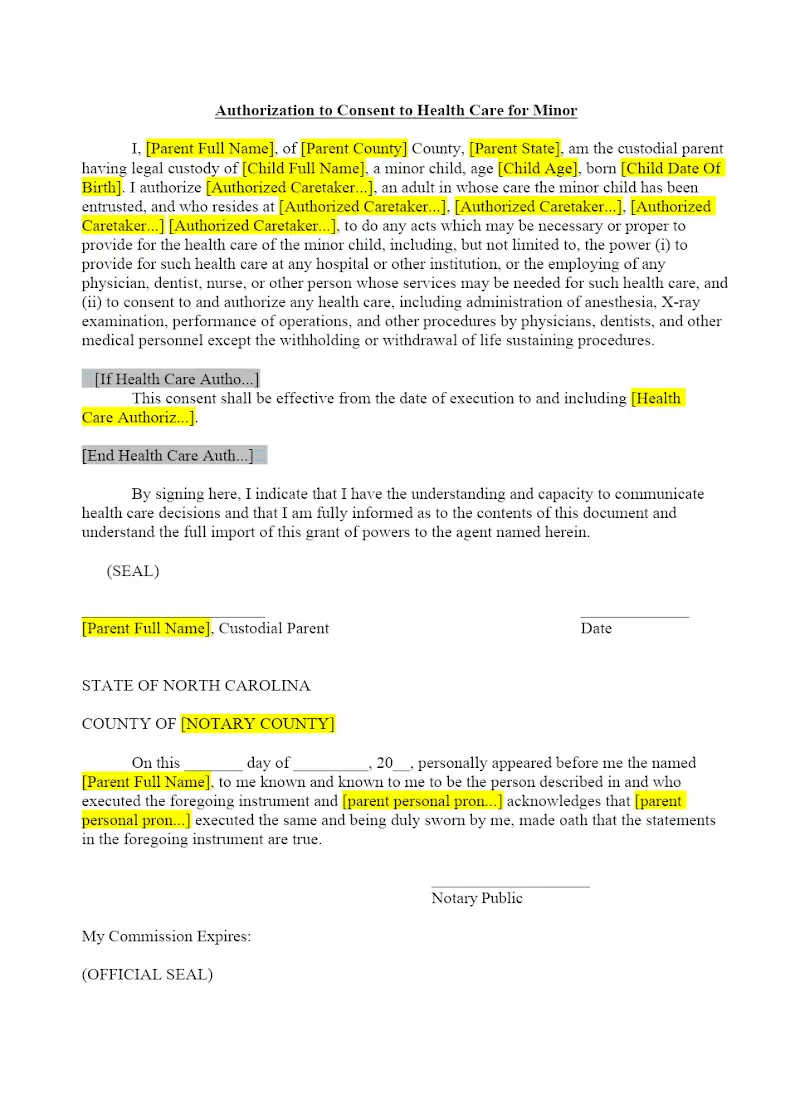 Statutory form authorization to consent to health care for minor