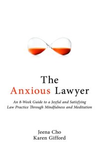 Anxious lawyer book