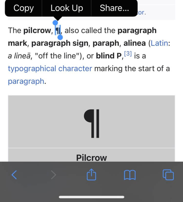 A phone screen shot of copying a typographic symbol to the phone's clipboard.