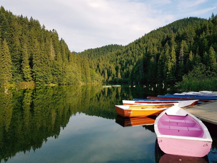 canoes on a lake surrounded by lush forested mountains