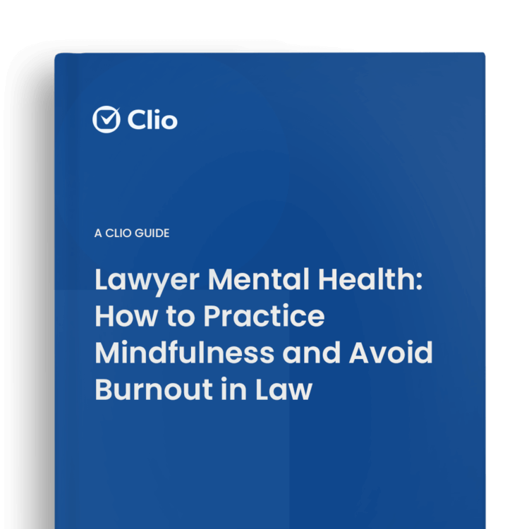 Lawyer Mental Health Guide Image