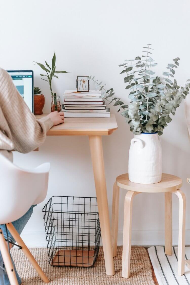 Law student studying in apartment