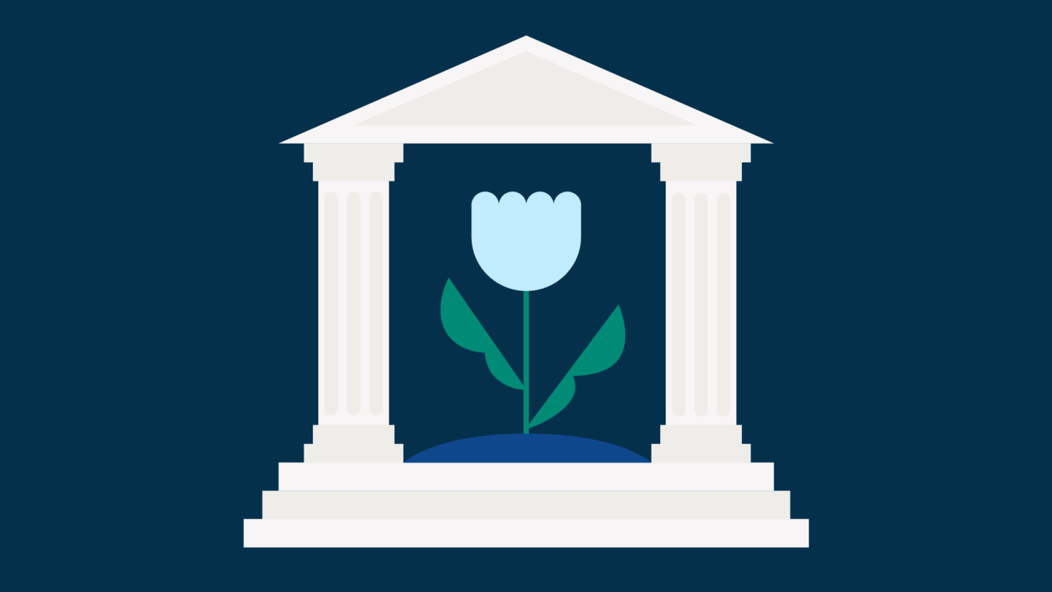 Your Guide to the Education Required to Be a Lawyer