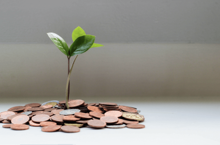 Coins on a surface with a plant sprouting up