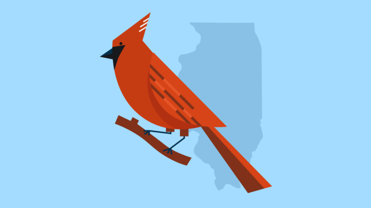 Illinois state bird