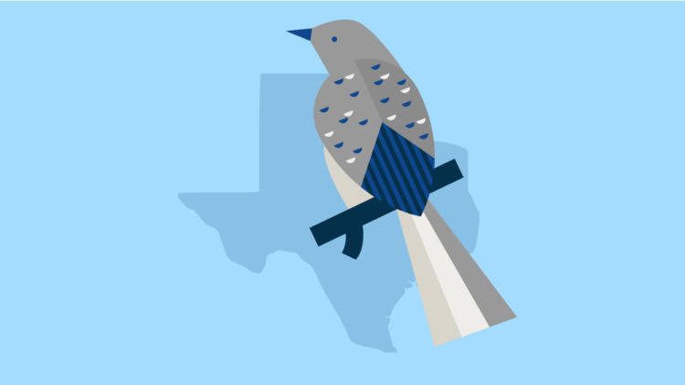 Texas state bird