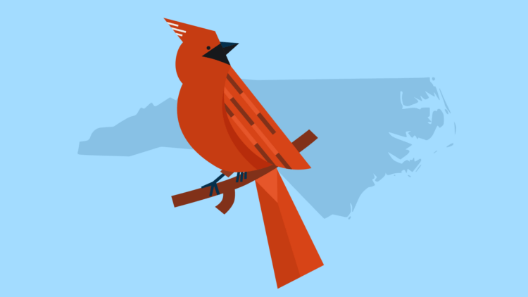 North Carolina State bird