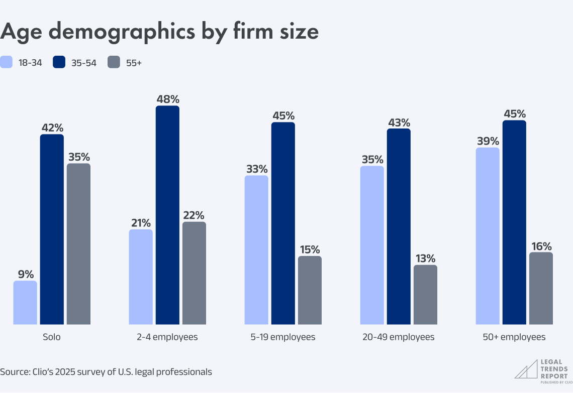 Chart 3.3a - Age demographics by firm size