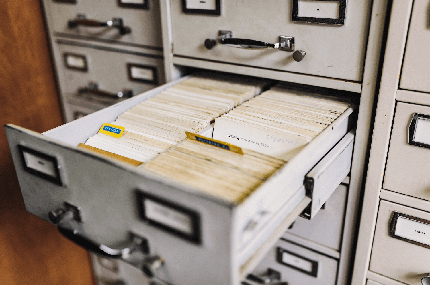 what do paralegals do